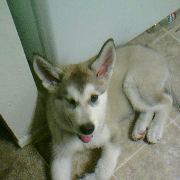 Meet your Posher, Annette - Picture 1 of 1